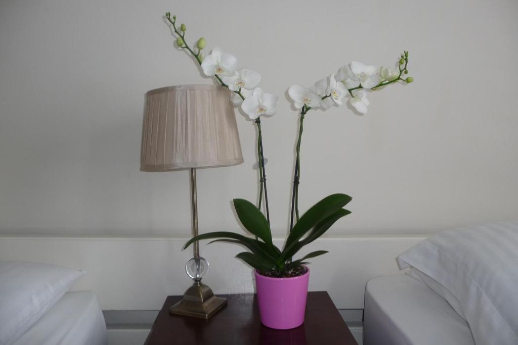 Killarney House Western Road Ξενοδοχείο Κορκ Δωμάτιο φωτογραφία
